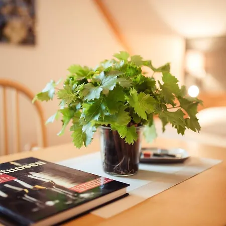 Gaestehaus Krappel Bed & Breakfast 4*