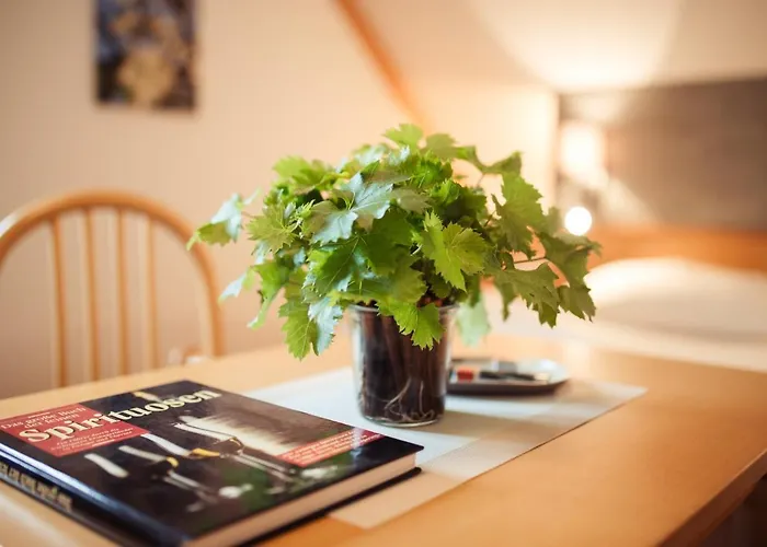 Gaestehaus Krappel Bed & Breakfast 3*