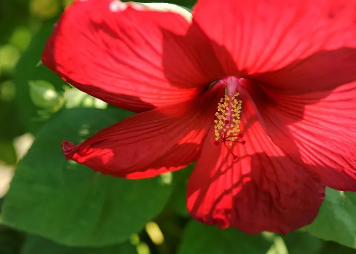 ベッド・アンド・ブレックファスト Gaestehaus Krappel 3*